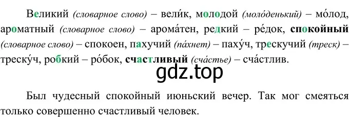 Решение 2. номер 249 (страница 93) гдз по русскому языку 6 класс Разумовская, Львова, учебник 1 часть