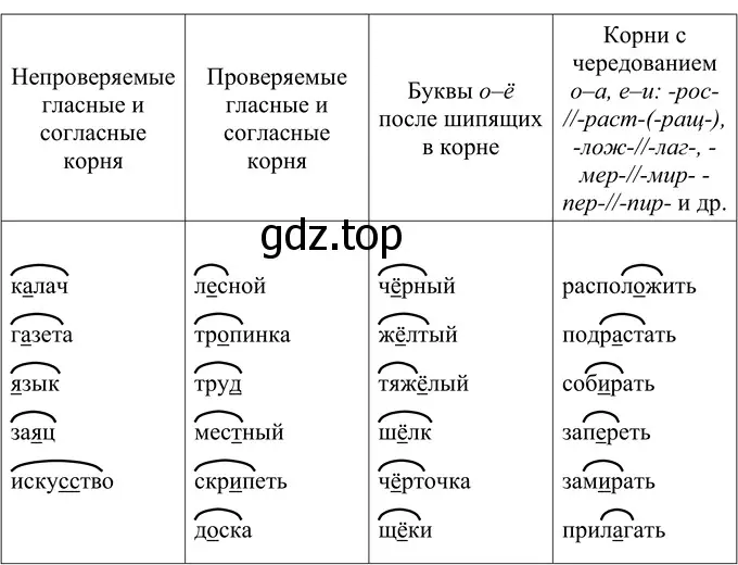 Решение 2. номер 41 (страница 20) гдз по русскому языку 6 класс Разумовская, Львова, учебник 1 часть