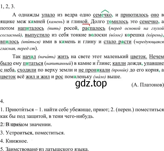 Решение 2. номер 428 (страница 5) гдз по русскому языку 6 класс Разумовская, Львова, учебник 2 часть