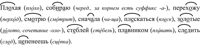 Решение 2. номер 88 (страница 36) гдз по русскому языку 6 класс Разумовская, Львова, учебник 1 часть