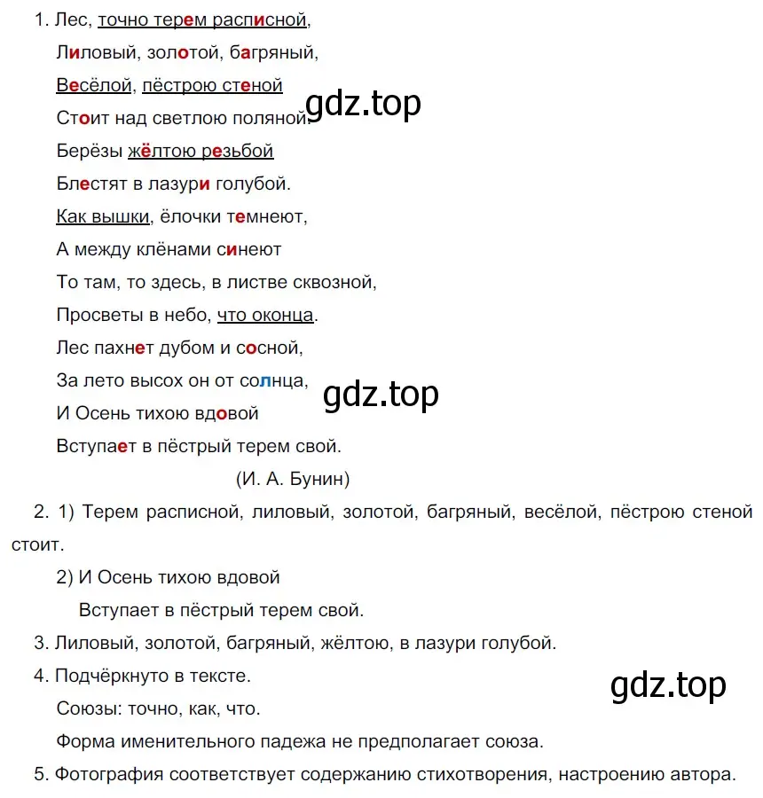 Решение 3. номер 13 (страница 10) гдз по русскому языку 6 класс Разумовская, Львова, учебник 1 часть