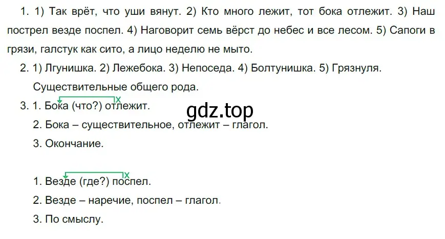 Решение 3. номер 146 (страница 59) гдз по русскому языку 6 класс Разумовская, Львова, учебник 1 часть