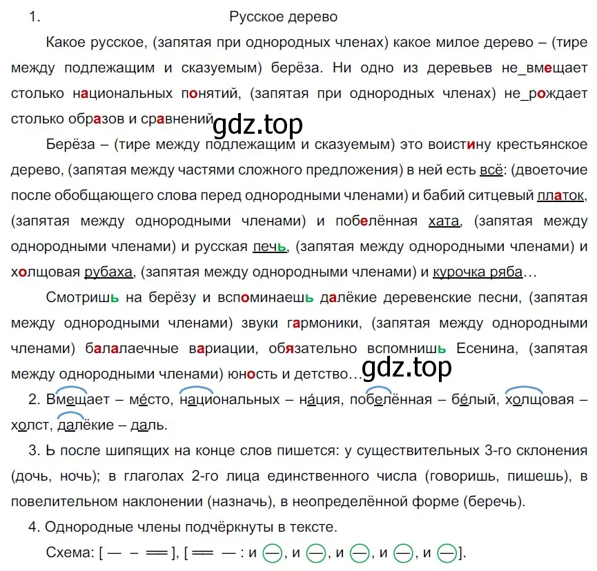 Решение 3. номер 25 (страница 15) гдз по русскому языку 6 класс Разумовская, Львова, учебник 1 часть