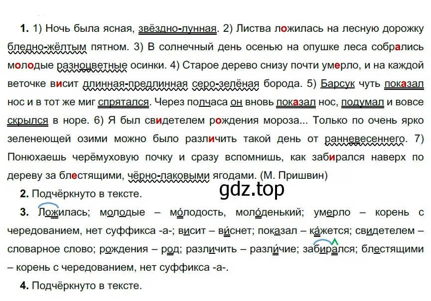 Решение 3. номер 269 (страница 100) гдз по русскому языку 6 класс Разумовская, Львова, учебник 1 часть