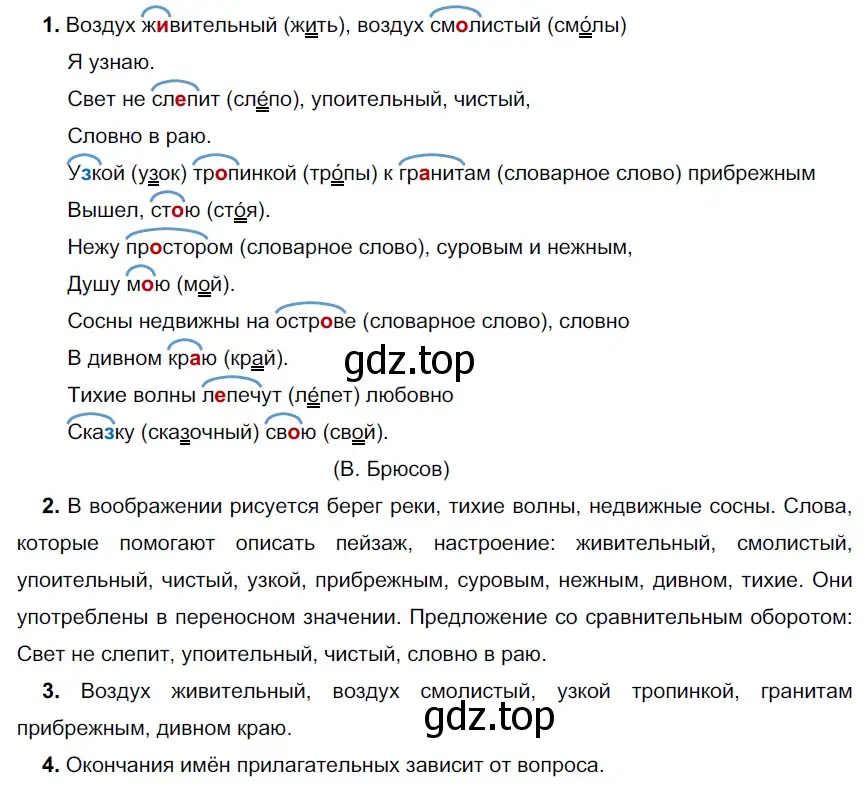 Решение 3. номер 284 (страница 106) гдз по русскому языку 6 класс Разумовская, Львова, учебник 1 часть