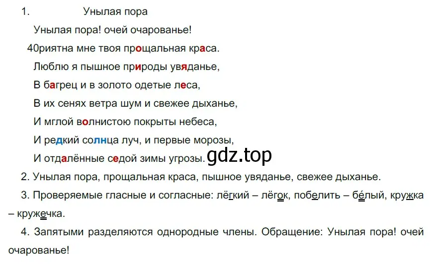 Решение 3. номер 39 (страница 20) гдз по русскому языку 6 класс Разумовская, Львова, учебник 1 часть