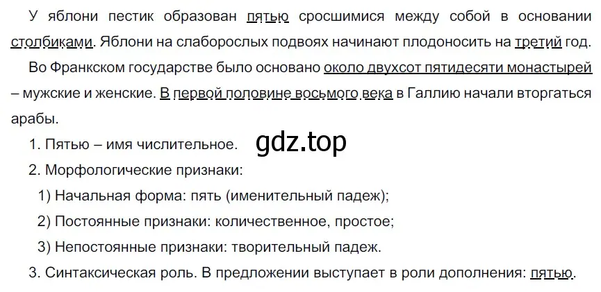 Решение 3. номер 391 (страница 141) гдз по русскому языку 6 класс Разумовская, Львова, учебник 1 часть