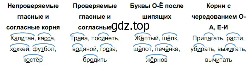 Решение 3. номер 41 (страница 20) гдз по русскому языку 6 класс Разумовская, Львова, учебник 1 часть