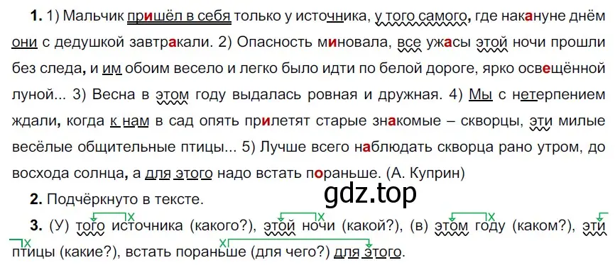 Решение 3. номер 449 (страница 13) гдз по русскому языку 6 класс Разумовская, Львова, учебник 2 часть