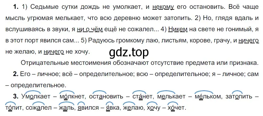 Решение 3. номер 481 (страница 24) гдз по русскому языку 6 класс Разумовская, Львова, учебник 2 часть