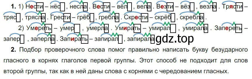 Решение 3. номер 506 (страница 33) гдз по русскому языку 6 класс Разумовская, Львова, учебник 2 часть