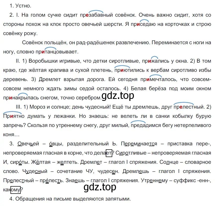 Решение 3. номер 59 (страница 25) гдз по русскому языку 6 класс Разумовская, Львова, учебник 1 часть