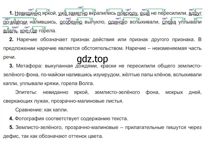 Решение 3. номер 593 (страница 68) гдз по русскому языку 6 класс Разумовская, Львова, учебник 2 часть