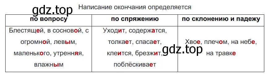 Решение 3. номер 64 (страница 27) гдз по русскому языку 6 класс Разумовская, Львова, учебник 1 часть