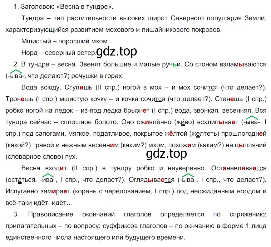 Решение 3. номер 67 (страница 28) гдз по русскому языку 6 класс Разумовская, Львова, учебник 1 часть