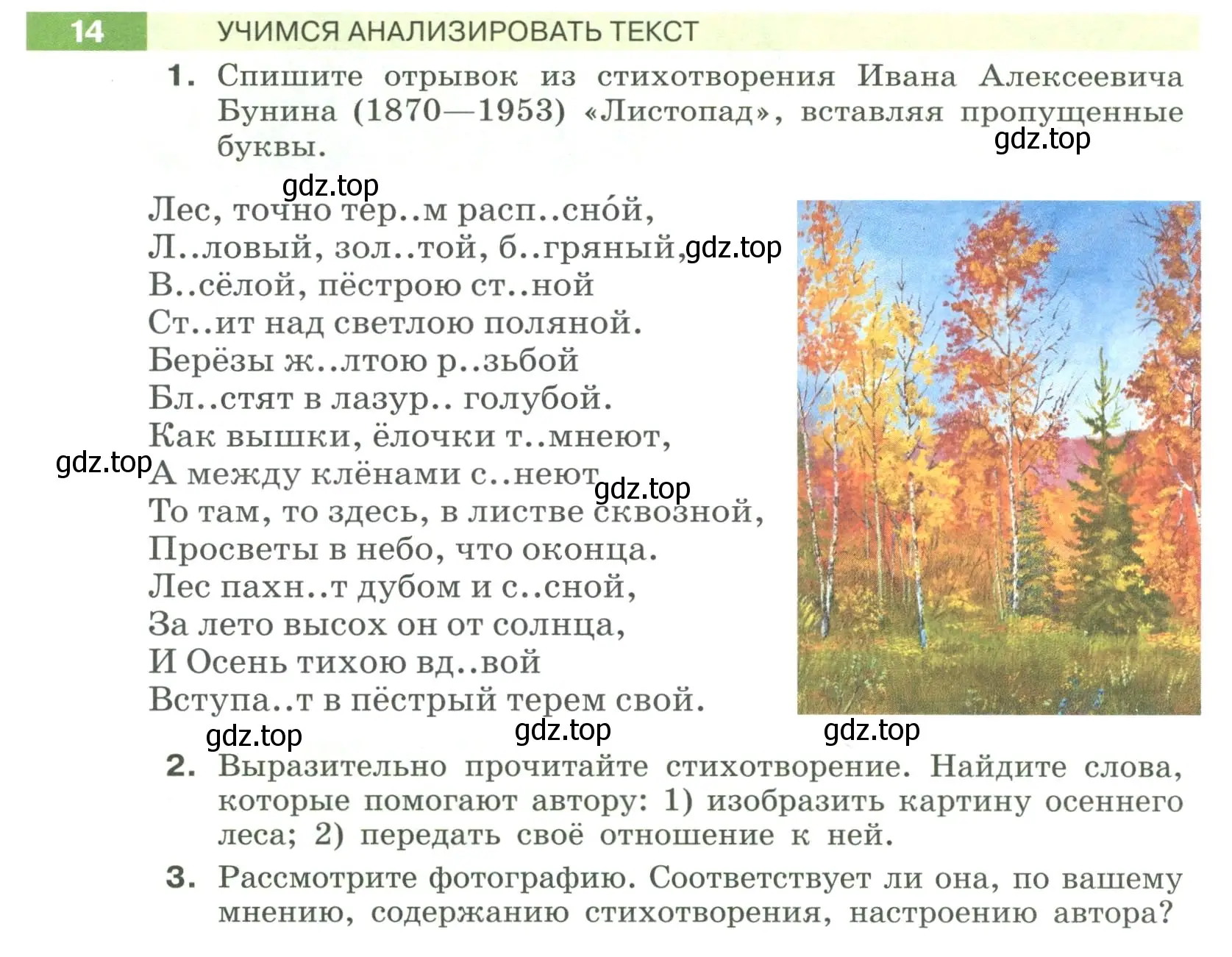 Условие номер 14 (страница 11) гдз по русскому языку 6 класс Разумовская, Львова, учебник 1 часть