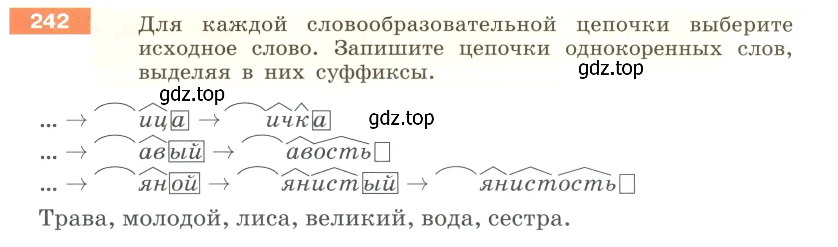 Условие номер 242 (страница 91) гдз по русскому языку 6 класс Разумовская, Львова, учебник 1 часть