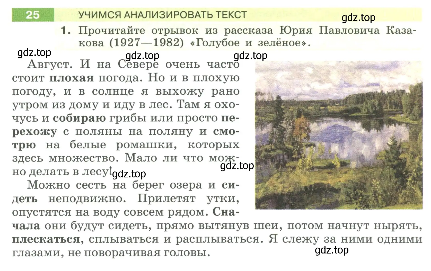 Условие номер 25 (страница 17) гдз по русскому языку 6 класс Разумовская, Львова, учебник 1 часть