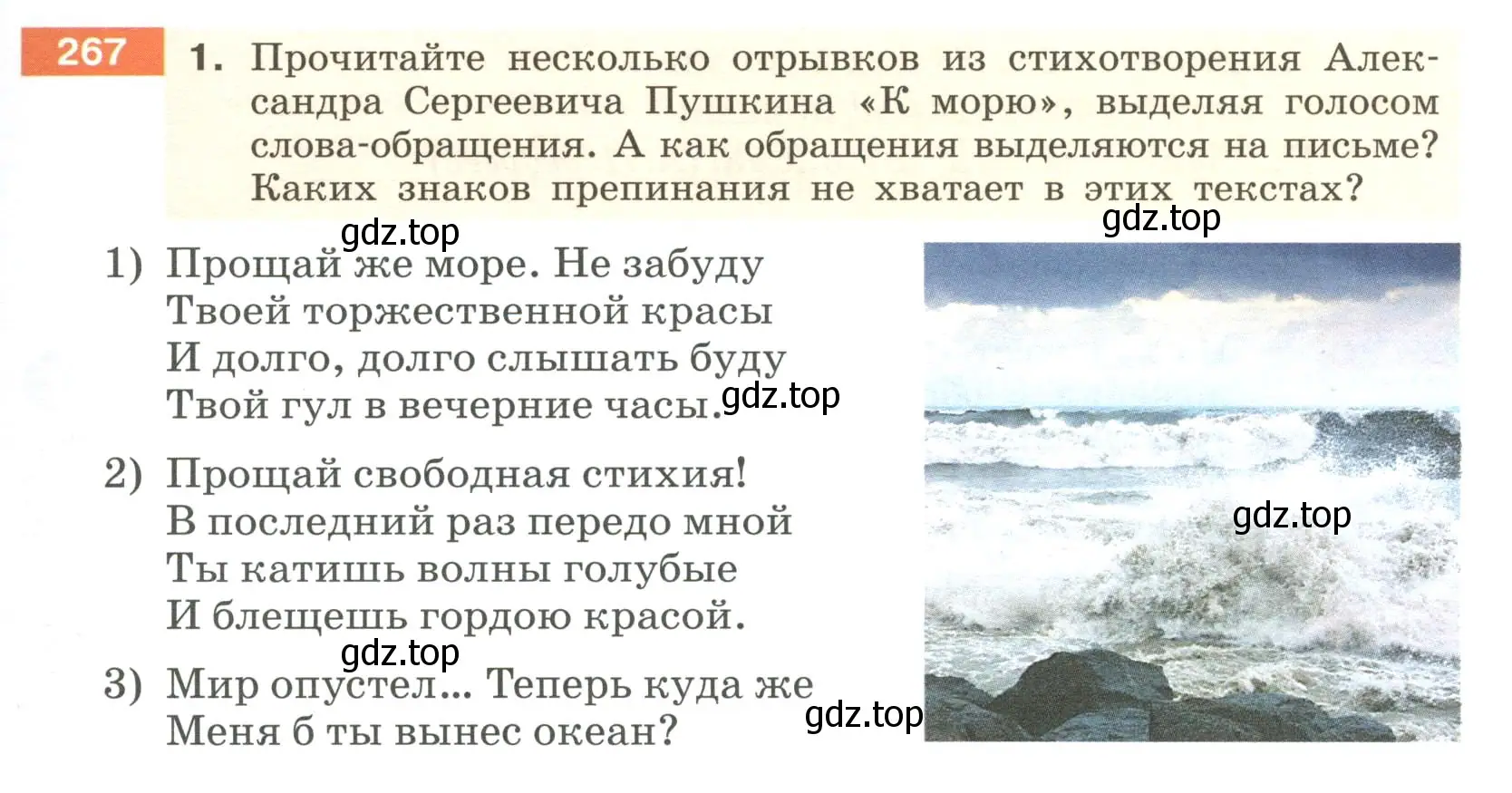 Условие номер 267 (страница 101) гдз по русскому языку 6 класс Разумовская, Львова, учебник 1 часть