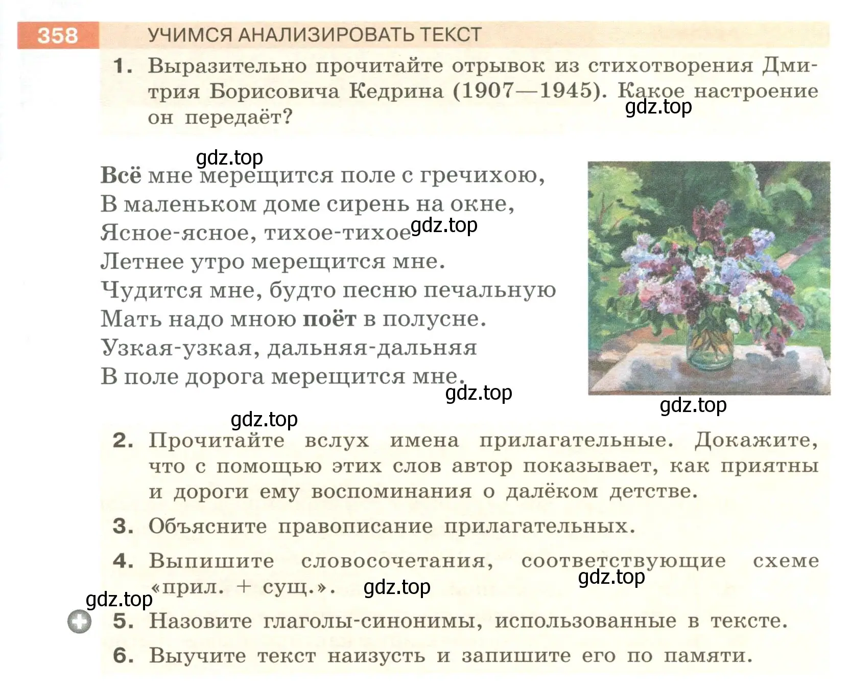 Условие номер 358 (страница 133) гдз по русскому языку 6 класс Разумовская, Львова, учебник 1 часть