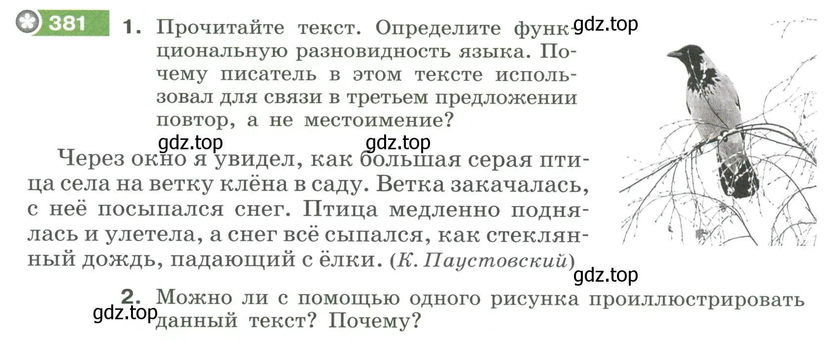 Условие номер 381 (страница 142) гдз по русскому языку 6 класс Разумовская, Львова, учебник 1 часть