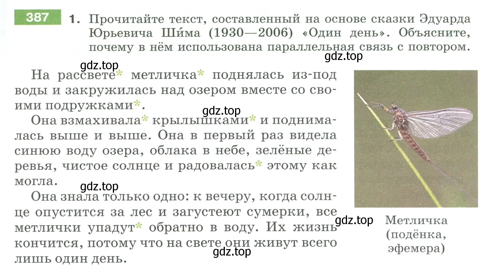 Условие номер 387 (страница 143) гдз по русскому языку 6 класс Разумовская, Львова, учебник 1 часть