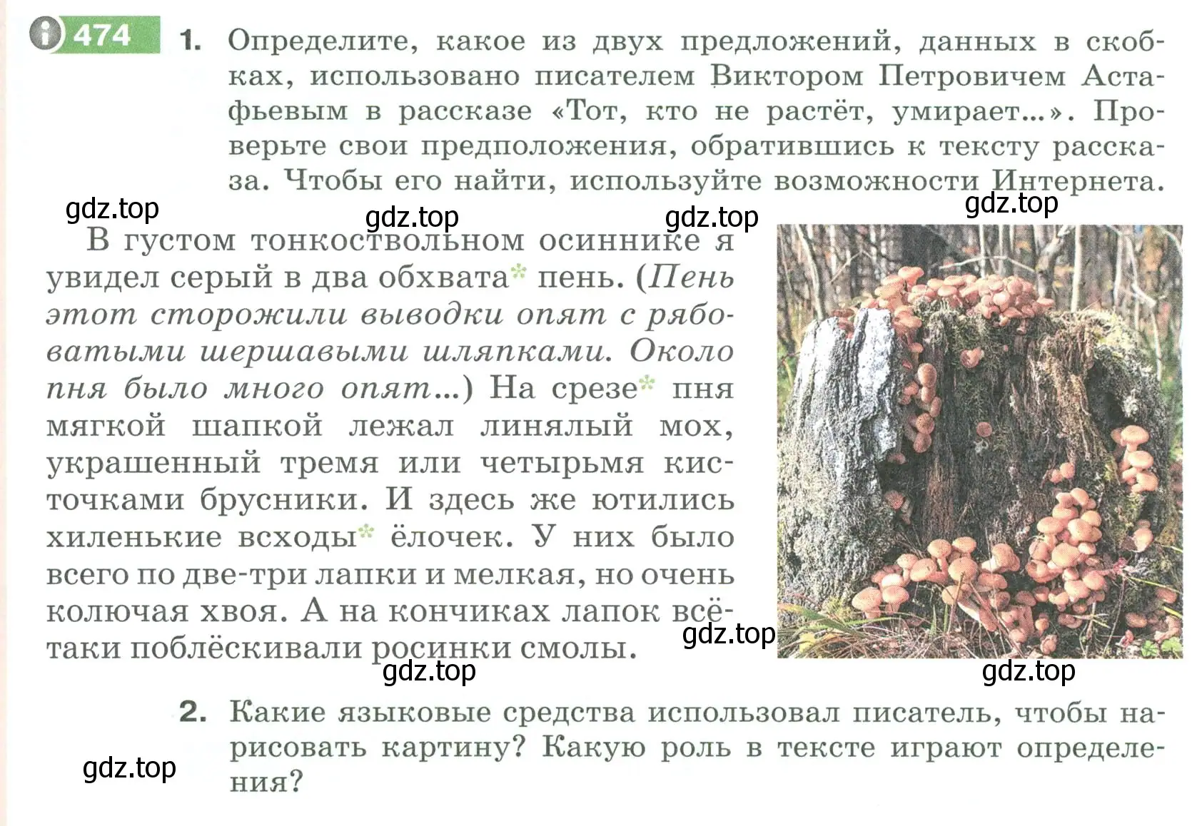 Условие номер 474 (страница 29) гдз по русскому языку 6 класс Разумовская, Львова, учебник 2 часть