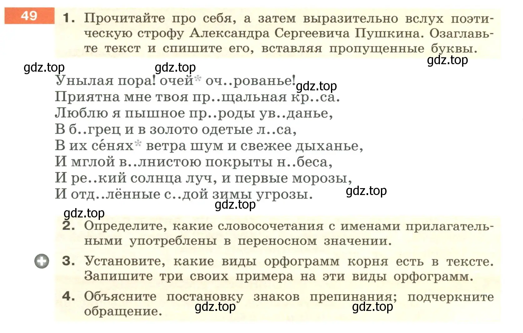 Условие номер 49 (страница 25) гдз по русскому языку 6 класс Разумовская, Львова, учебник 1 часть