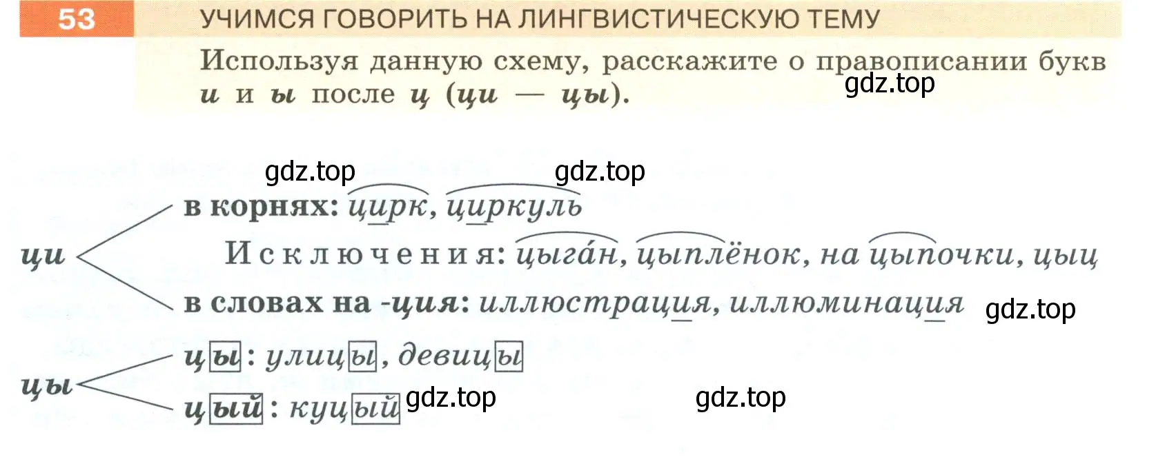 Условие номер 53 (страница 26) гдз по русскому языку 6 класс Разумовская, Львова, учебник 1 часть