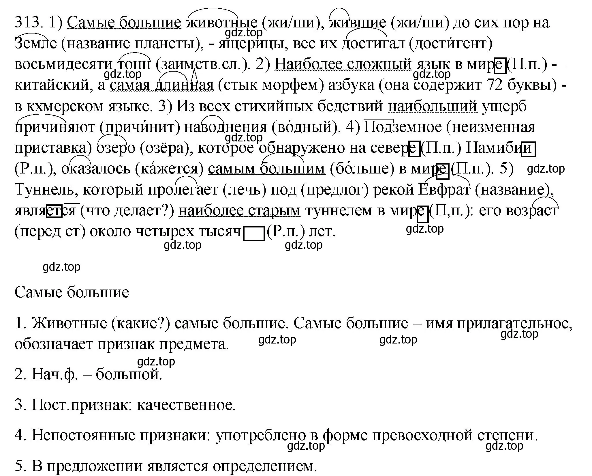 Решение номер 313 (страница 117) гдз по русскому языку 6 класс Разумовская, Львова, учебник 1 часть