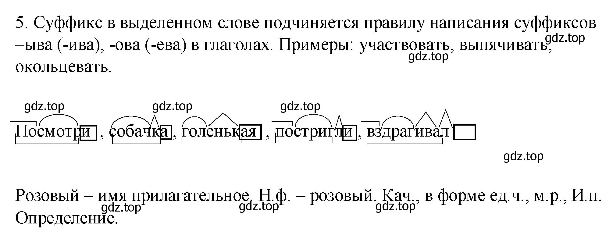 Решение номер 5 (страница 7) гдз по русскому языку 6 класс Разумовская, Львова, учебник 1 часть