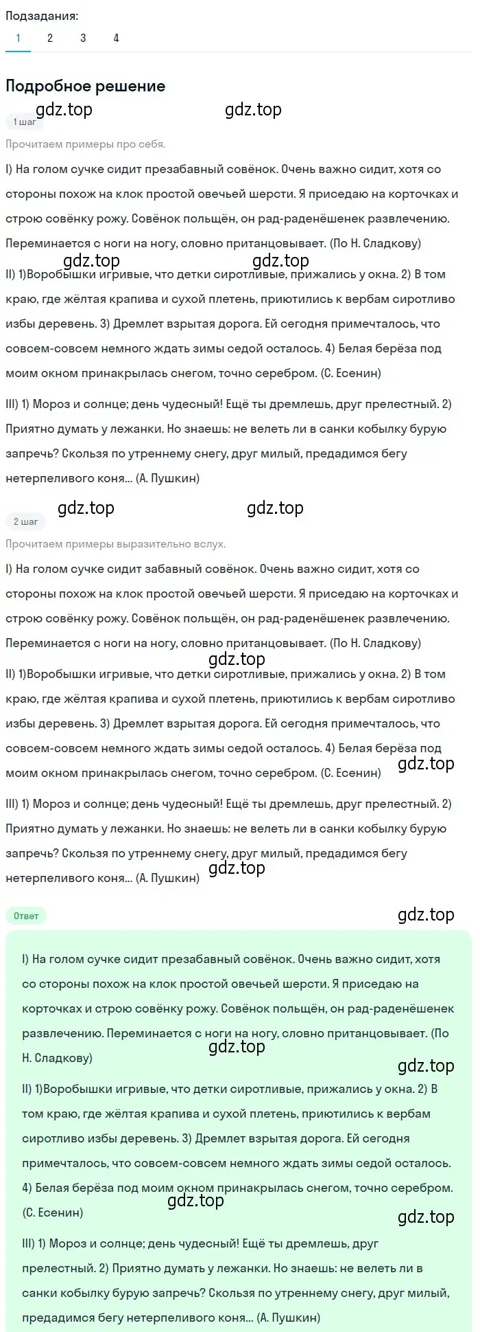 Решение 2. номер 111 (страница 45) гдз по русскому языку 6 класс Разумовская, Львова, учебник 1 часть