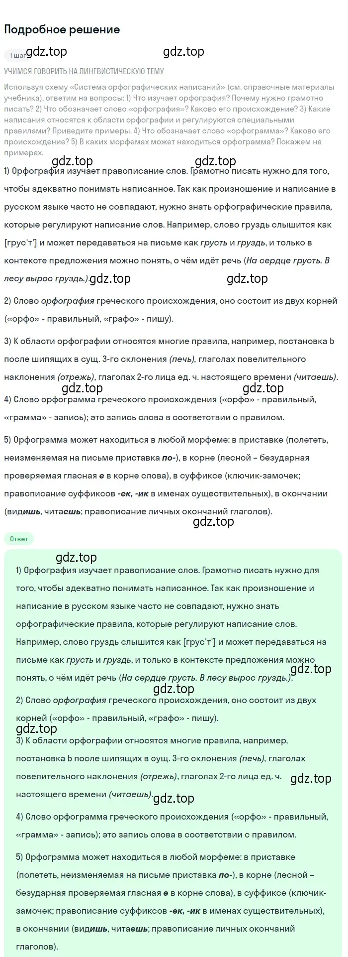 Решение 2. номер 28 (страница 19) гдз по русскому языку 6 класс Разумовская, Львова, учебник 1 часть