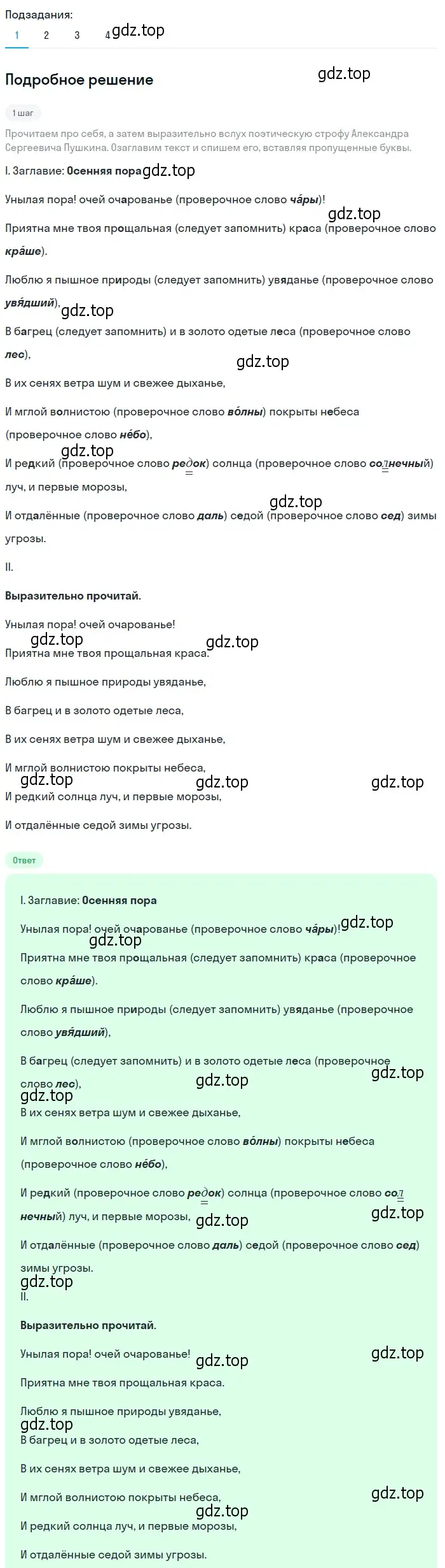 Решение 2. номер 49 (страница 25) гдз по русскому языку 6 класс Разумовская, Львова, учебник 1 часть