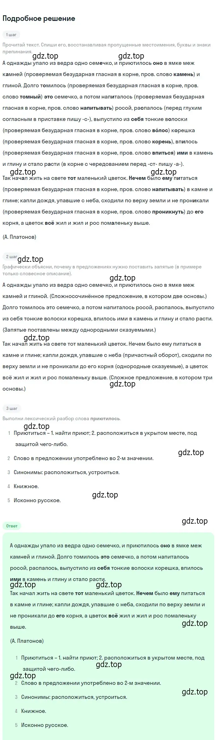 Решение 2. номер 490 (страница 36) гдз по русскому языку 6 класс Разумовская, Львова, учебник 2 часть