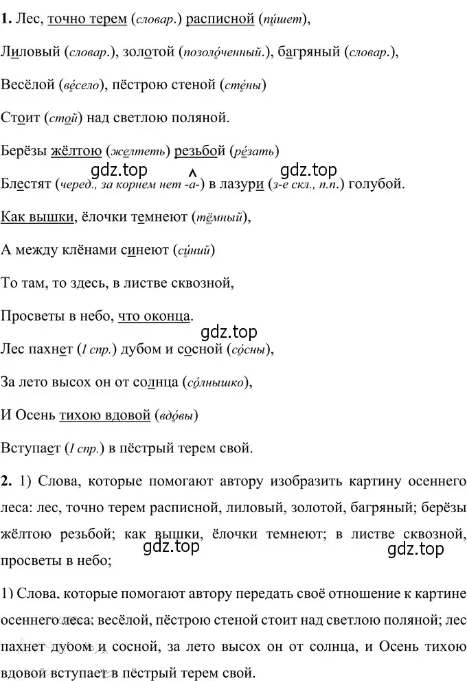 Решение 3. номер 14 (страница 11) гдз по русскому языку 6 класс Разумовская, Львова, учебник 1 часть