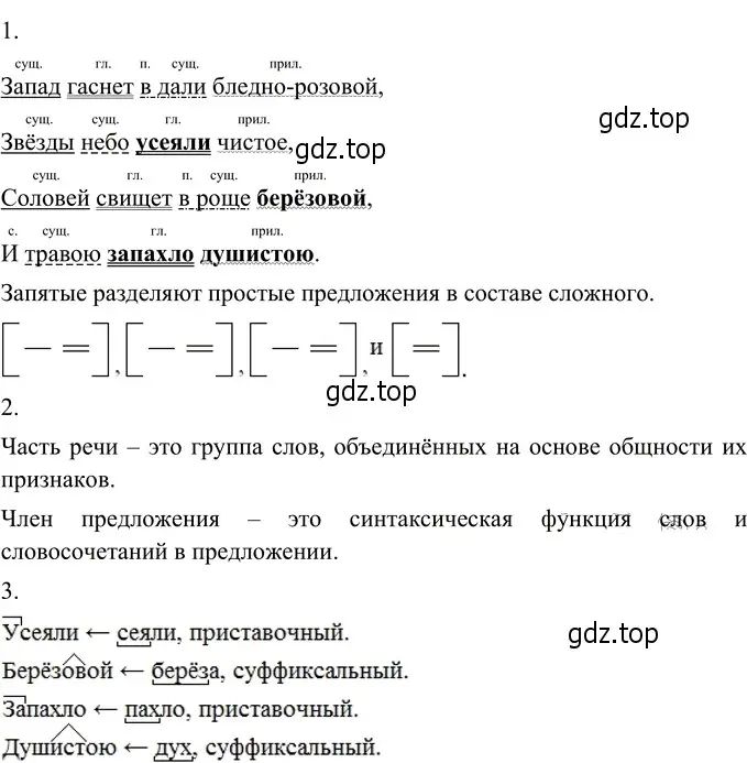 Решение 3. номер 206 (страница 81) гдз по русскому языку 6 класс Разумовская, Львова, учебник 1 часть