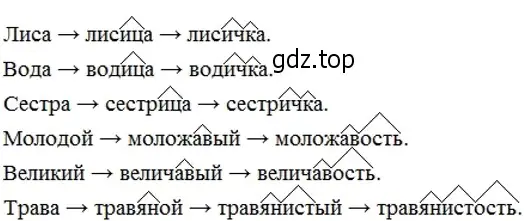 Решение 3. номер 242 (страница 91) гдз по русскому языку 6 класс Разумовская, Львова, учебник 1 часть