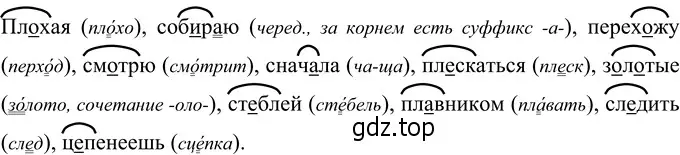 Решение 3. номер 26 (страница 18) гдз по русскому языку 6 класс Разумовская, Львова, учебник 1 часть