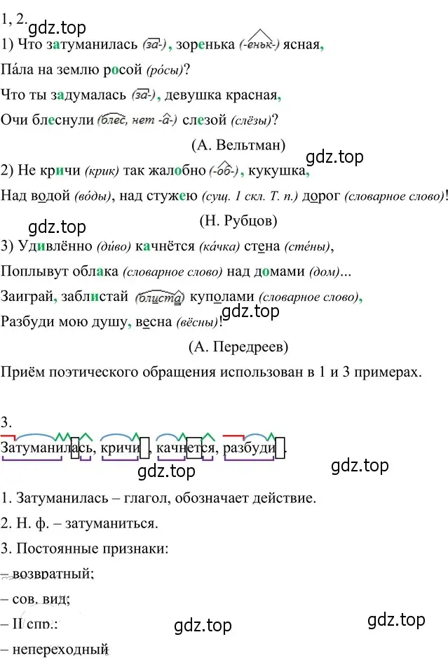 Решение 3. номер 269 (страница 102) гдз по русскому языку 6 класс Разумовская, Львова, учебник 1 часть