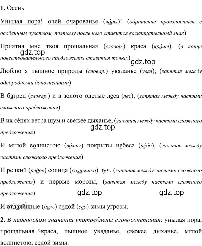 Решение 3. номер 49 (страница 25) гдз по русскому языку 6 класс Разумовская, Львова, учебник 1 часть