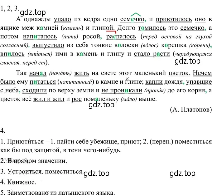 Решение 3. номер 490 (страница 36) гдз по русскому языку 6 класс Разумовская, Львова, учебник 2 часть