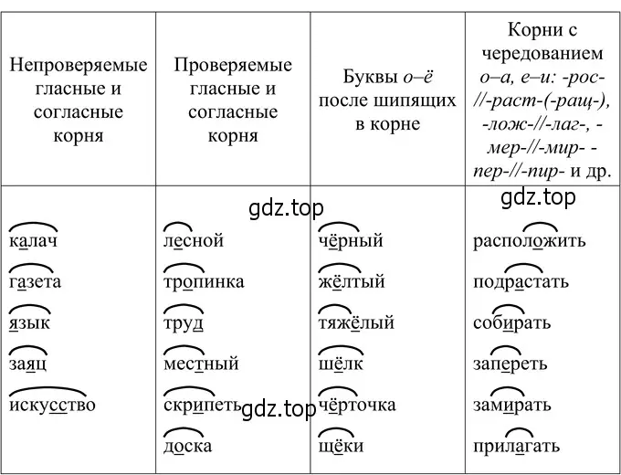 Решение 3. номер 51 (страница 26) гдз по русскому языку 6 класс Разумовская, Львова, учебник 1 часть