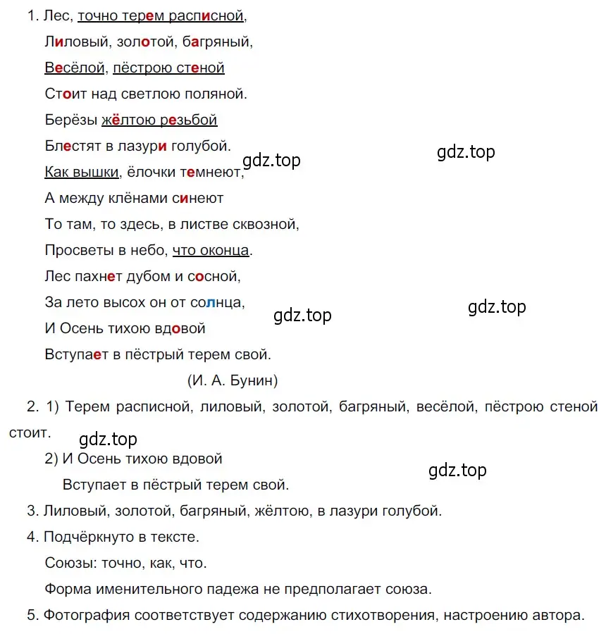 Решение 4. номер 14 (страница 11) гдз по русскому языку 6 класс Разумовская, Львова, учебник 1 часть