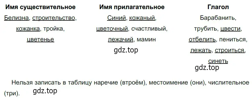 Решение 4. номер 207 (страница 81) гдз по русскому языку 6 класс Разумовская, Львова, учебник 1 часть