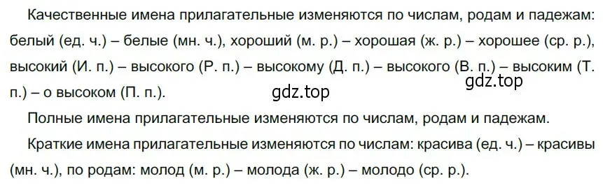 Решение 4. номер 295 (страница 111) гдз по русскому языку 6 класс Разумовская, Львова, учебник 1 часть