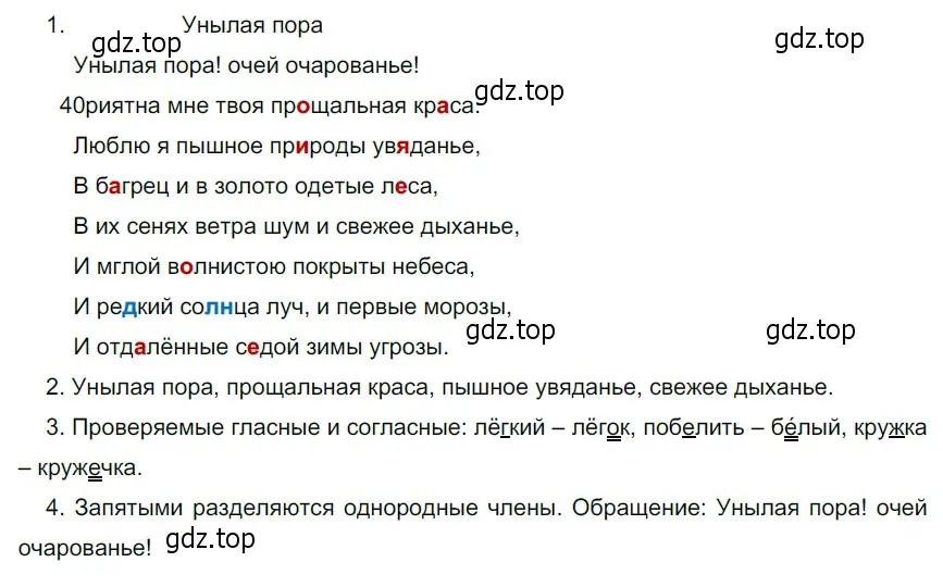 Решение 4. номер 49 (страница 25) гдз по русскому языку 6 класс Разумовская, Львова, учебник 1 часть