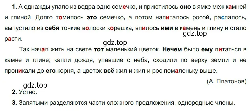 Решение 4. номер 490 (страница 36) гдз по русскому языку 6 класс Разумовская, Львова, учебник 2 часть