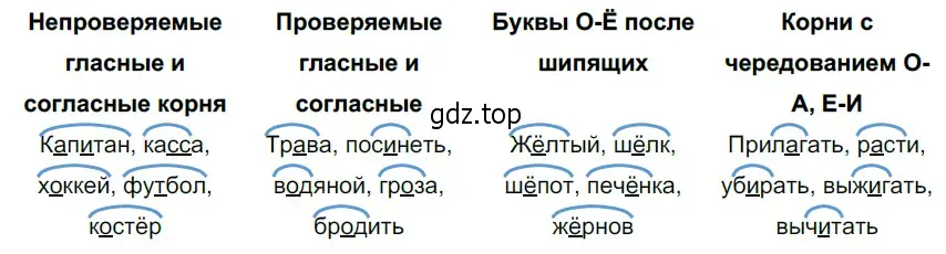 Решение 4. номер 51 (страница 26) гдз по русскому языку 6 класс Разумовская, Львова, учебник 1 часть