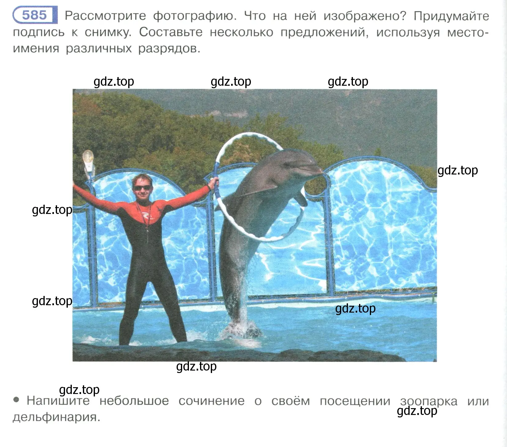 Условие ноомер 585 (страница 82) гдз по русскому языку 6 класс Рыбченкова, Александрова, учебник 2 часть